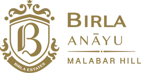 Birla Anayu Logo - 